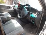 A picture of NOAH NOAH piga cm 0716530472