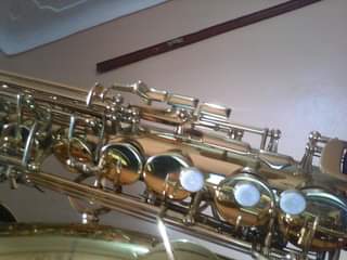A picture of alto saxophone