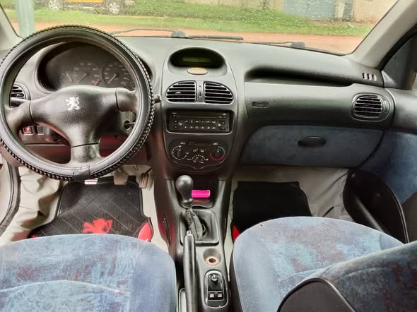 A picture of Peugeot 206