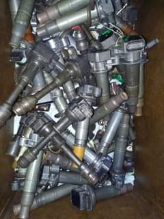 coils