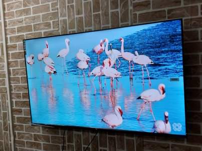 A picture of EE SMART TV ANDROID INCH 50