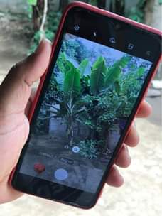 A picture of SAMSUNG GALAXY A20s FOR SALE