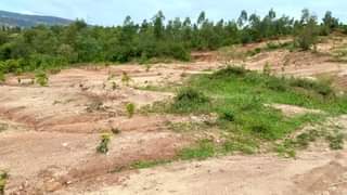 kagugu accommodation