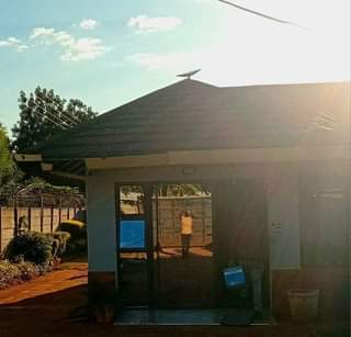 starlink zimbabwe