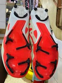 A picture of Soccer cleats