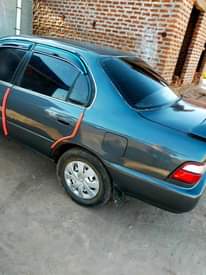 A picture of Kikumi super
