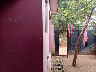 A picture of Rentals on sale in Salama Munyonyo