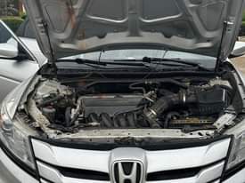 A picture of 2011 Honda Crosstour Standard