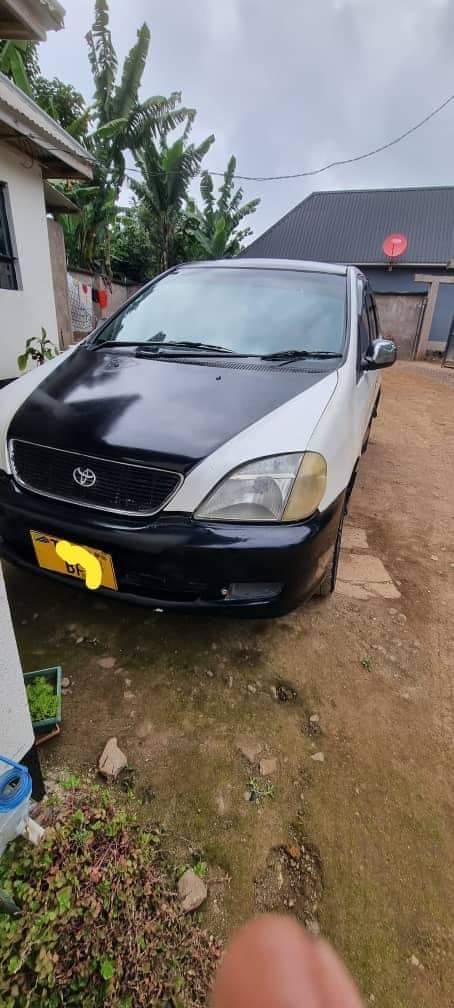 A picture of 2002 Toyota Nadia B