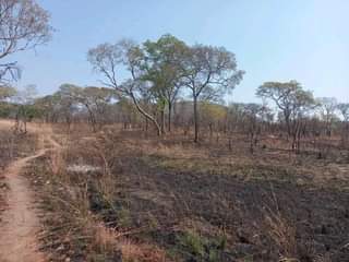 chisamba
