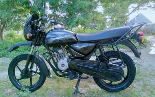 A picture of Boxer cc150