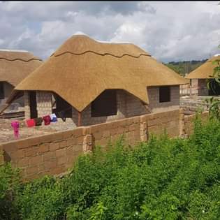 A picture of Utalii