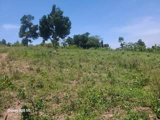 A picture of 50 100FT TITLED PLOTS STILL AVAILABLE AT OUR GOBERO WAKISO