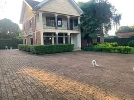 A picture of Nine bedroom mansion for rent in luzira Kampala Uganda at