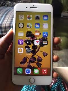A picture of iPhone 7 