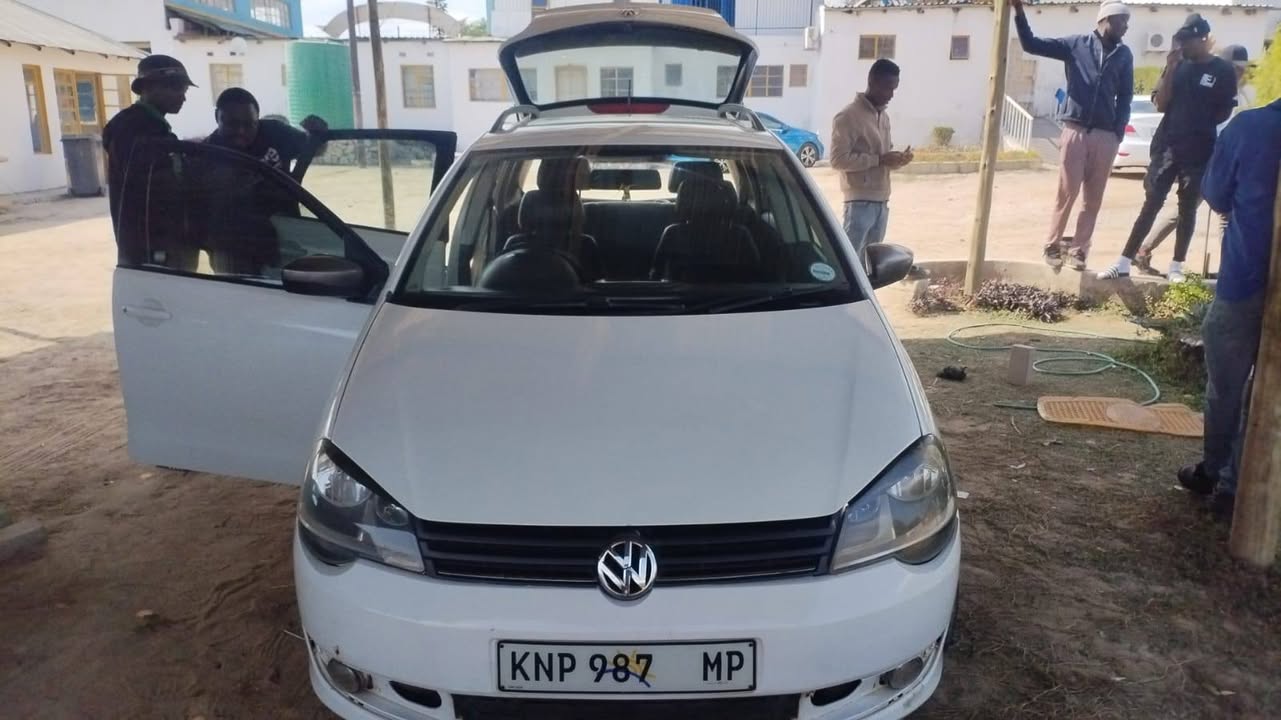 polo vivo