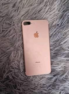 A picture of 7plus