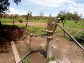 houses livingstone