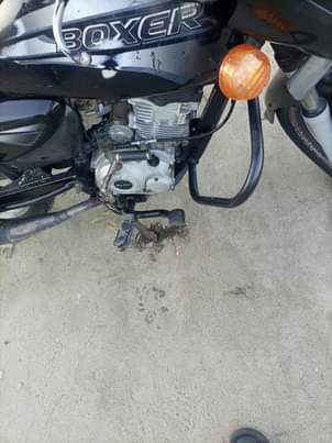 A picture of WAHI BOXER BEI 650000