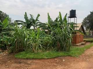 A picture of House for sale sitted on 80 by 70 ft at
