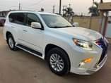 A picture of Lexus Gx460 2 months Registered
