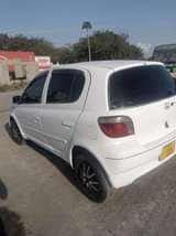 A picture of Vitz clavia