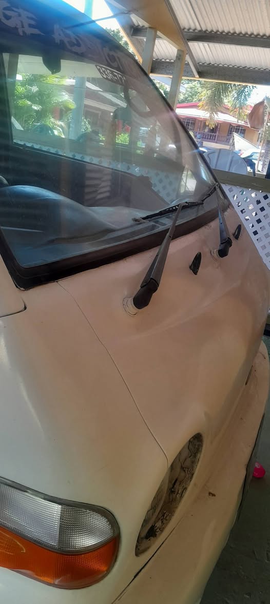 hyundai h100