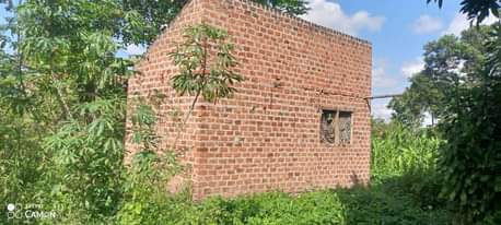 A picture of 4arces for sell with a land tittle Semuto kapeka town