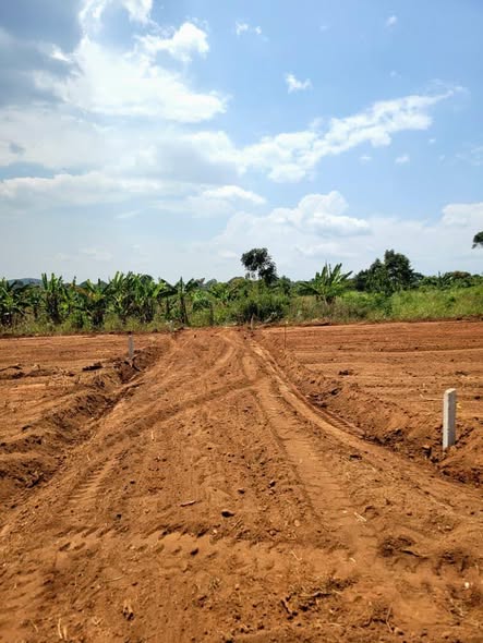 A picture of GAYAZA BUGEMA PRIME EXTENSION 100BY50FTS 25M 30M READY LANDTITLE