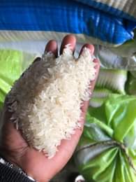 A picture of Tz Super Rice kawoowo Nicely Sorted Without Stones and With