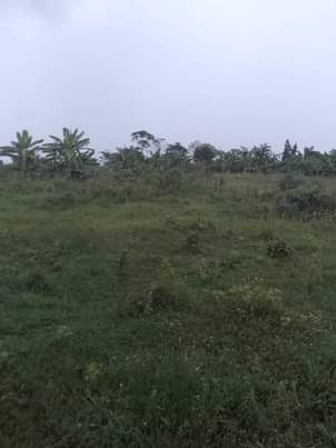 A picture of Land