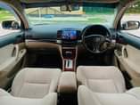 A picture of Premio new model