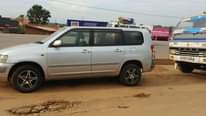 A picture of Succeed 11 5m Seeta call 0706260442