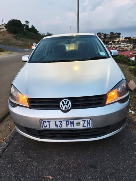 polo vivo