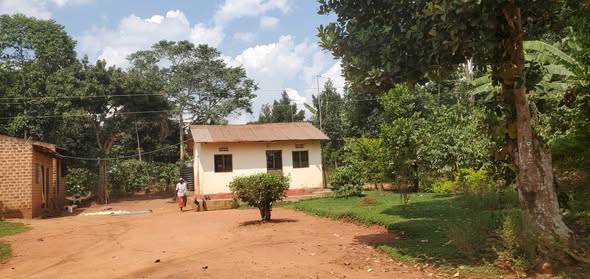 A picture of PLOT FOR SALE MUKONO Nakifuma Mayangayanga Nabibugga 50x100ft Banana plantation