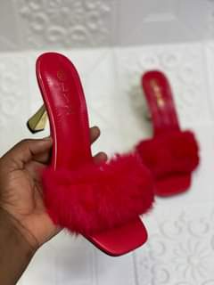 Angel S.