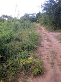 A picture of Shamba la eka 20 linauzwa