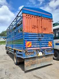 A picture of FUSO SINGLE MAYAI