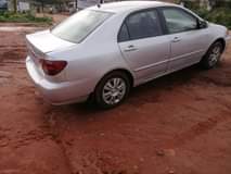 A picture of corolla