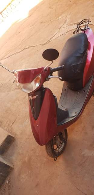 A picture of Scooter