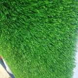 A picture of Grass carpet