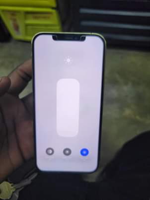 iphone 12pro