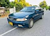 A picture of carina