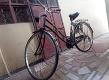 A picture of BASKELI BOMBA SANA