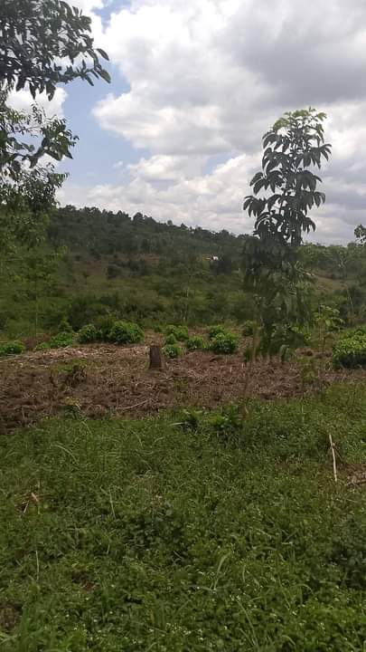 houses matugga
