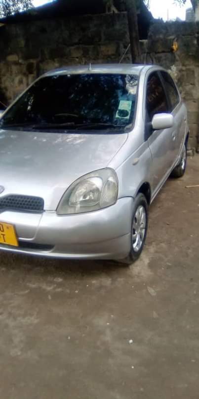 A picture of Vitz