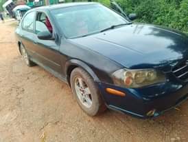 A picture of 2003 Nissan Maxima SE