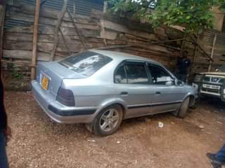 A picture of Corsa