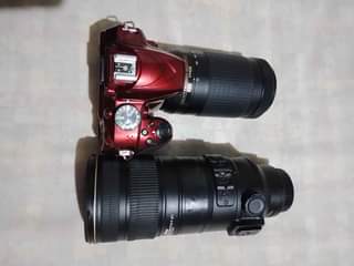 nikon