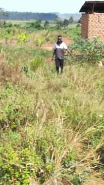 A picture of Land